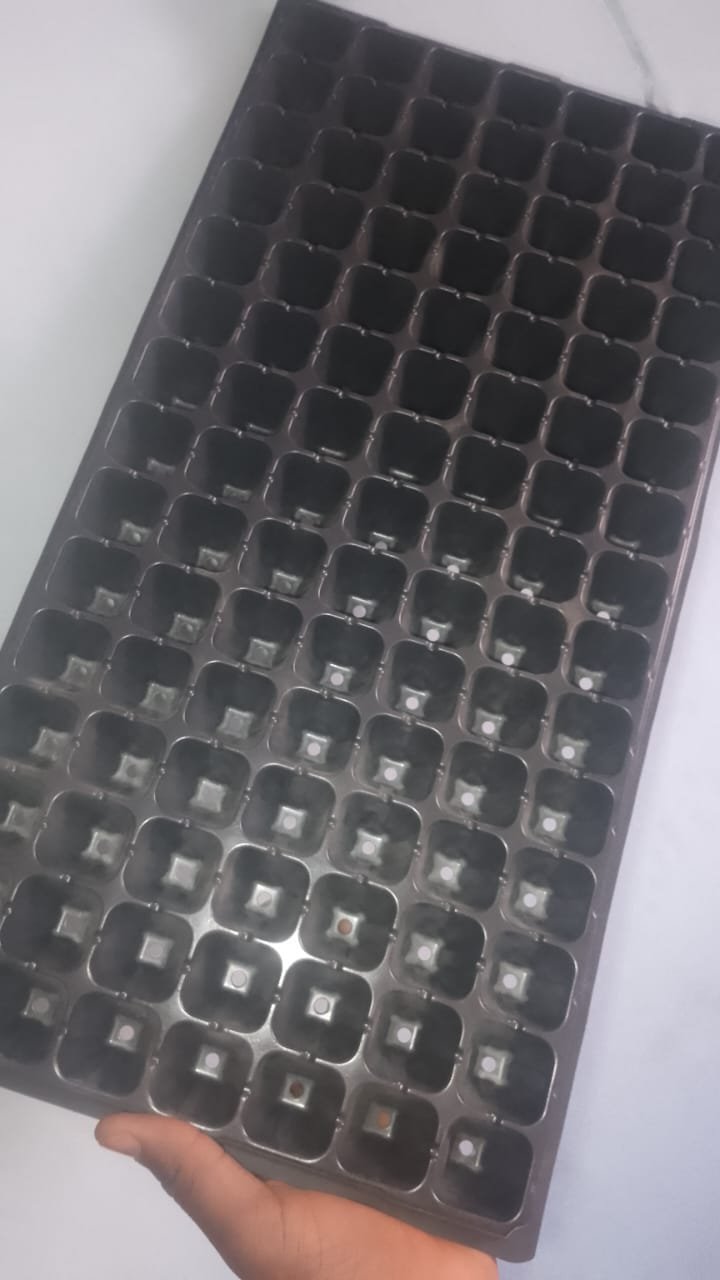 Seed Tray – 288 Cells
