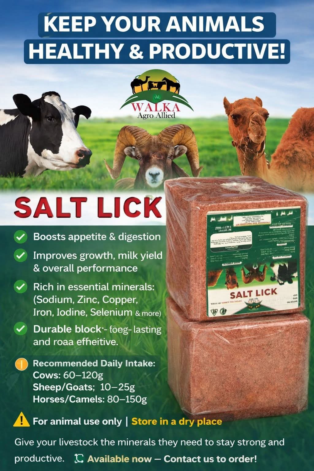 10kg Block of Salt lick