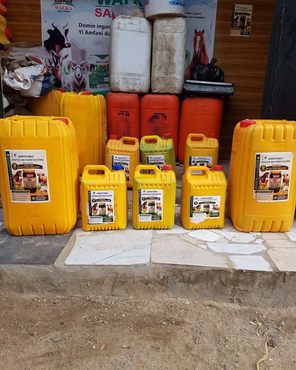 5L Molasses 