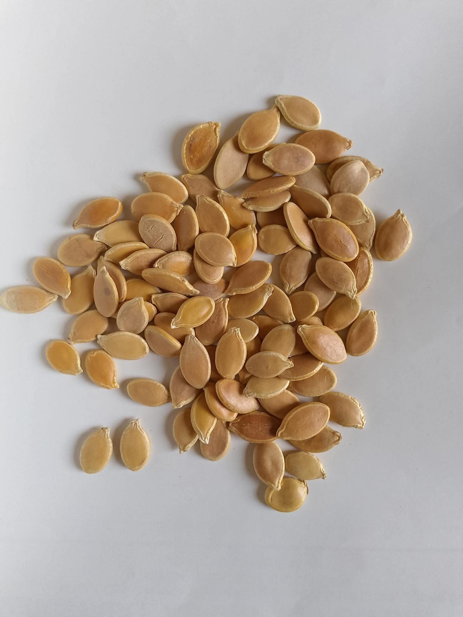 Pumpkin seed 1kg
