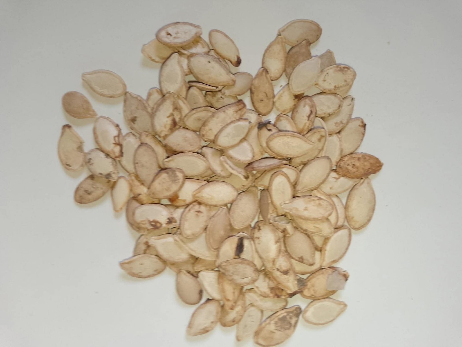 Pumpkin seed 1kg