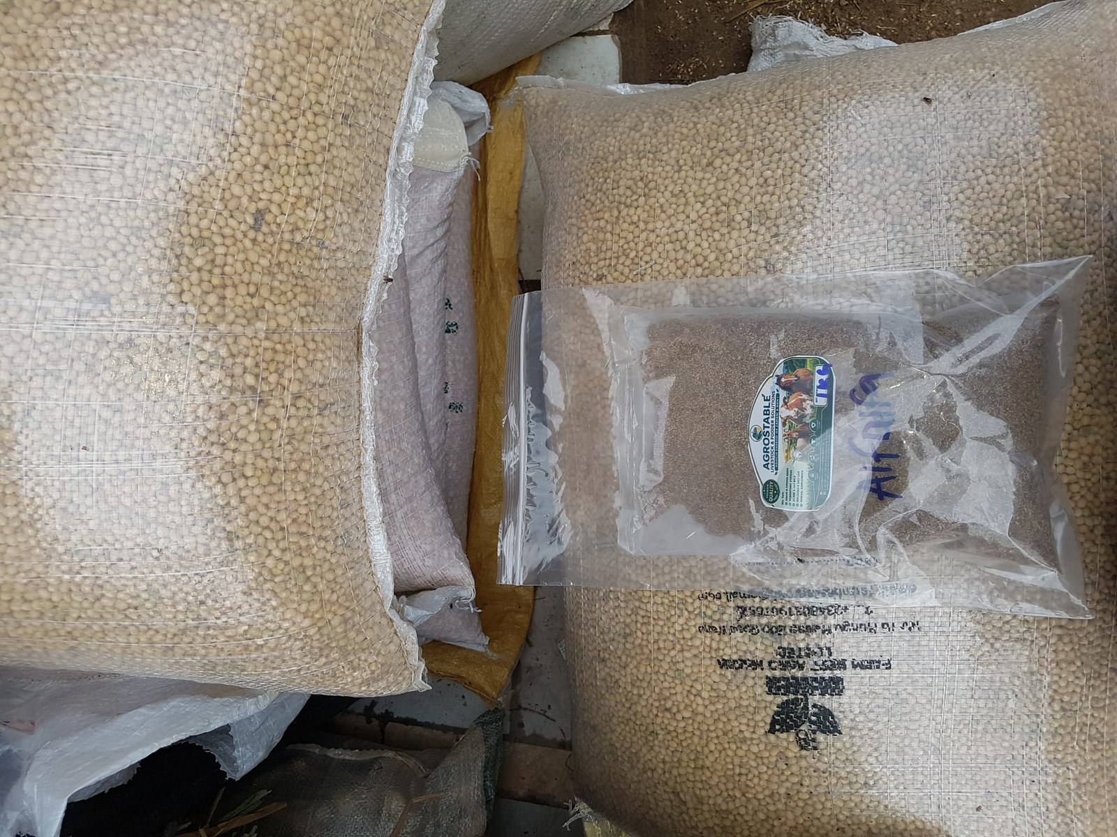 Soyabeans TGX 1951-3F (2kg pack)
