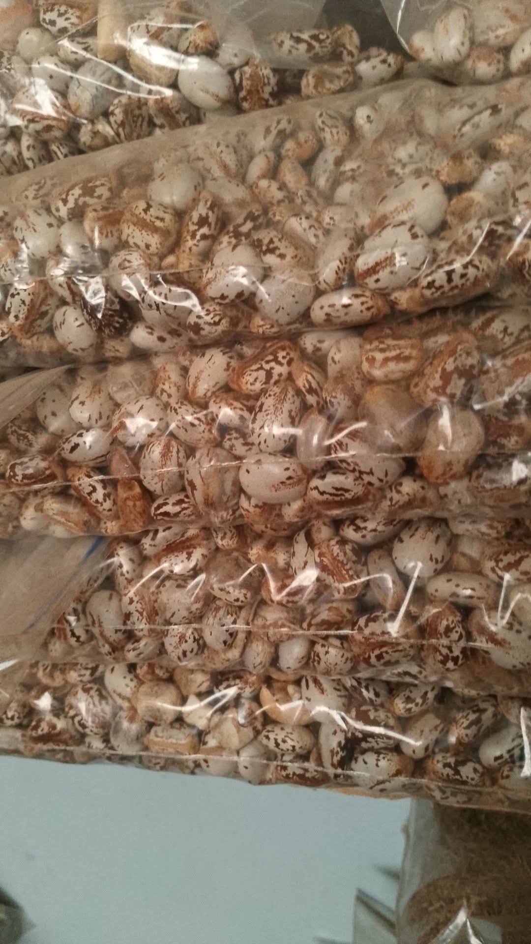 Castor Seeds 2kg pack 