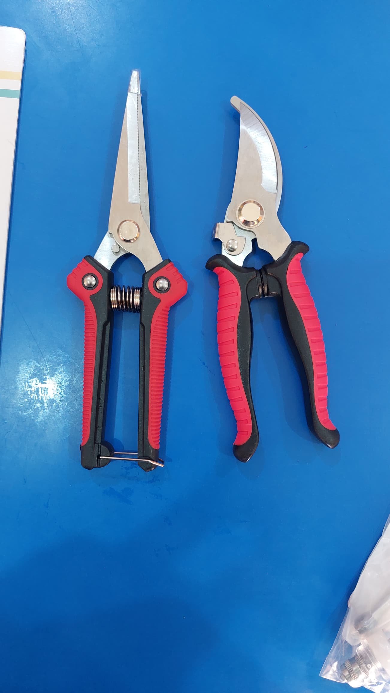 Hoof cutter 