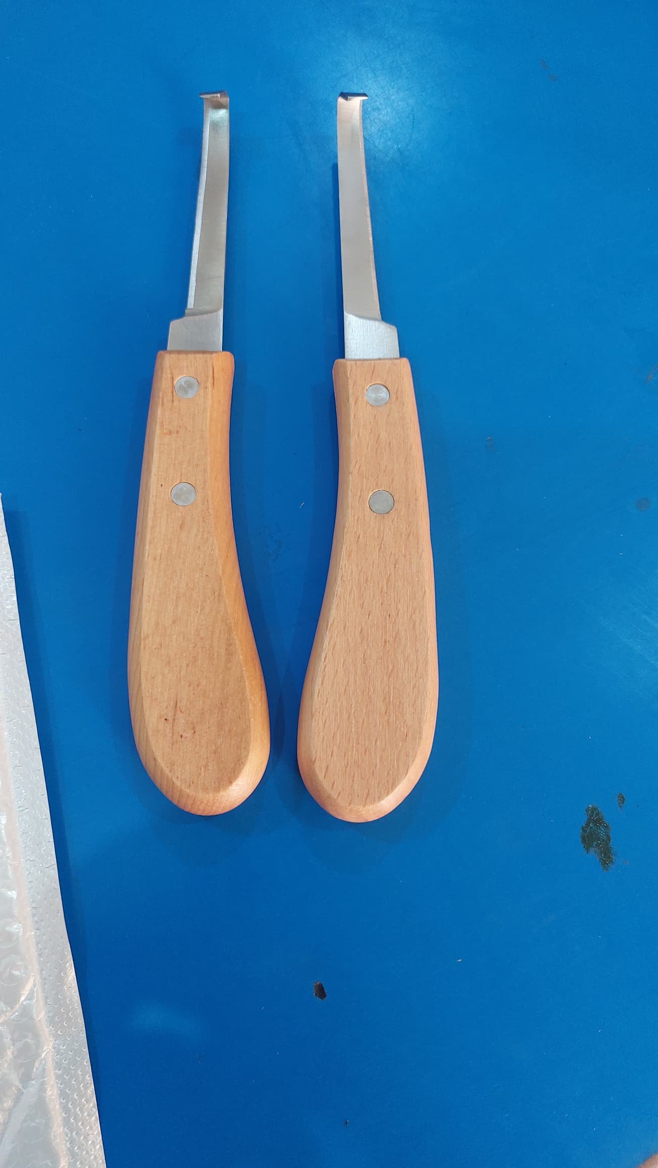 Hoof cutter for horses 