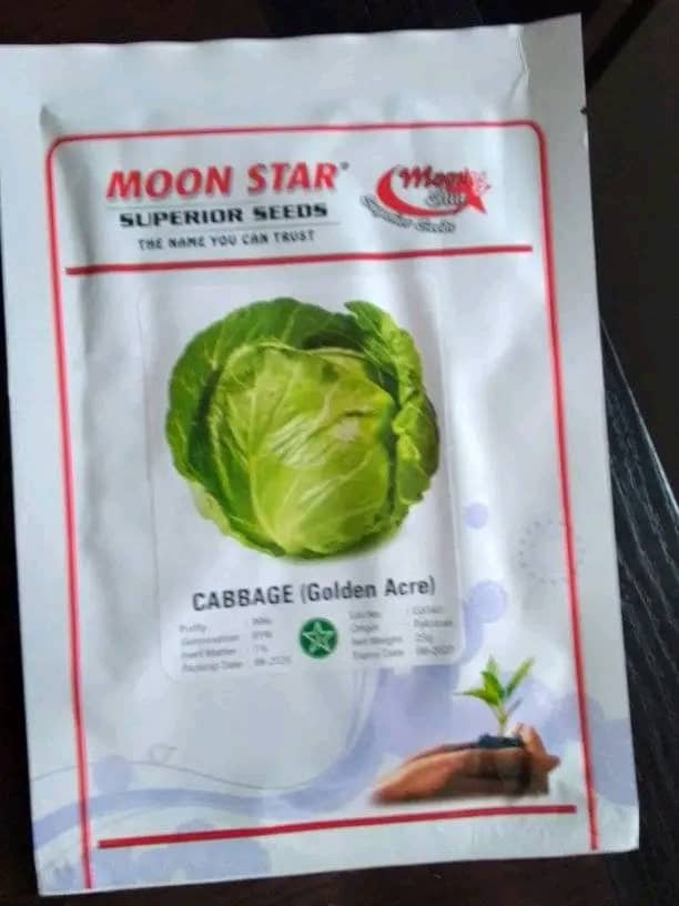 Cabbage seed 25g