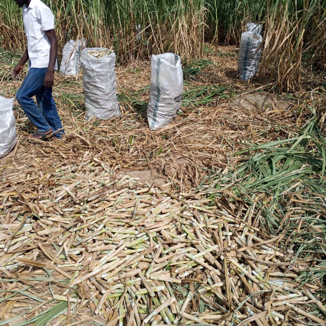 Agricultural Training & Advisory