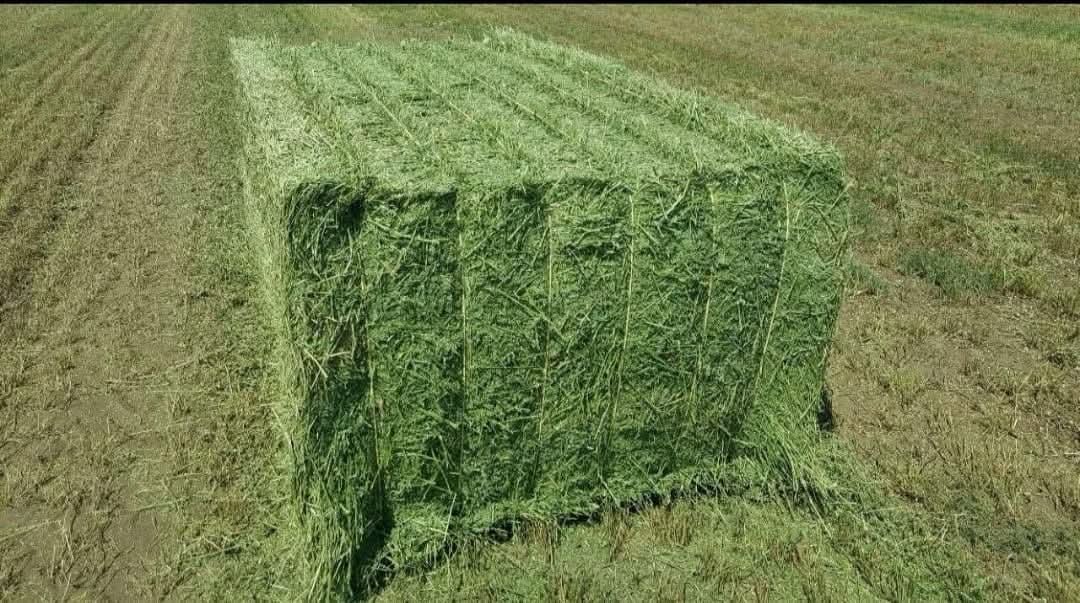 Agricultural Training & Advisory